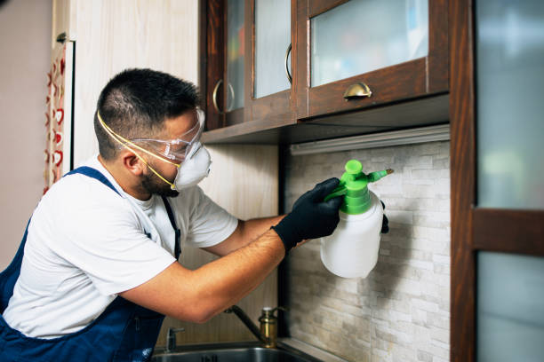 Best Pest Prevention Services  in Laurel Hollow, NY