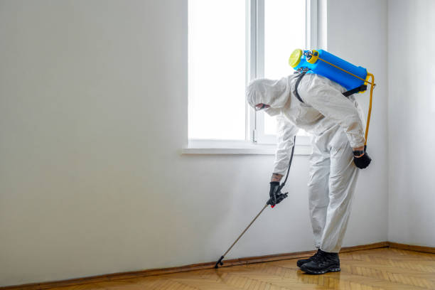 Flea Control Services in Laurel Hollow, NY