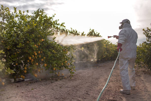 Best Commercial Pest Control Services  in Laurel Hollow, NY