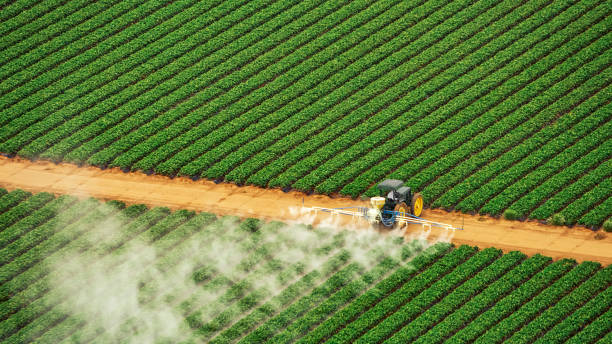 Best Mosquito Control Services  in Laurel Hollow, NY