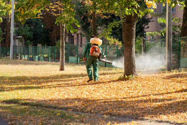 Best Local Pest Control Services  in Laurel Hollow, NY