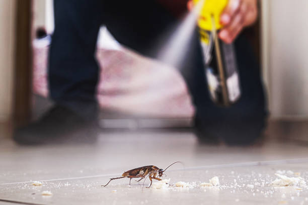 Best Pest Prevention Services  in Laurel Hollow, NY