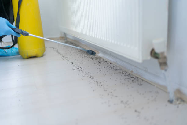 Best Wildlife Control Services  in Laurel Hollow, NY