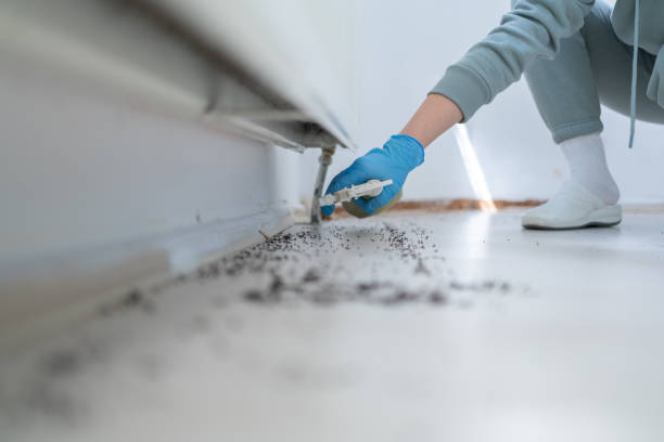 Best Best Pest Control Companies  in Laurel Hollow, NY